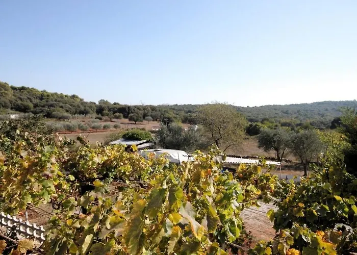 Appartement With A Parking Space Stinjan, - 7253 *